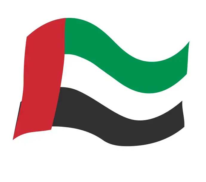 Dubai Flag