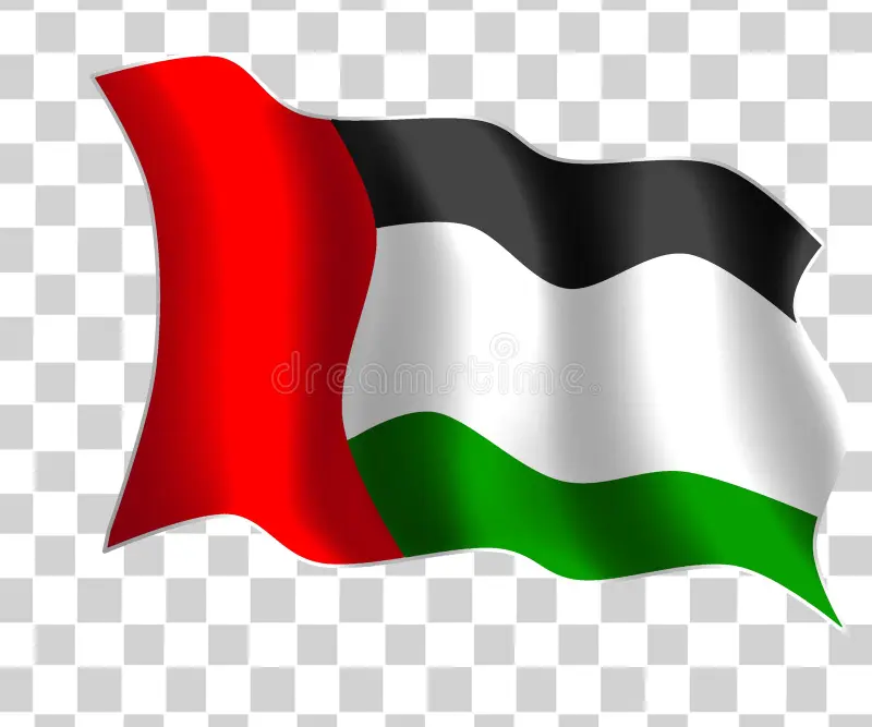 Dubai flag